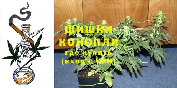 трава Алексеевка