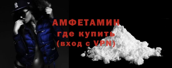 СК Алексин