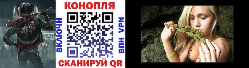 Канабис планчик сколько стоит Когалым